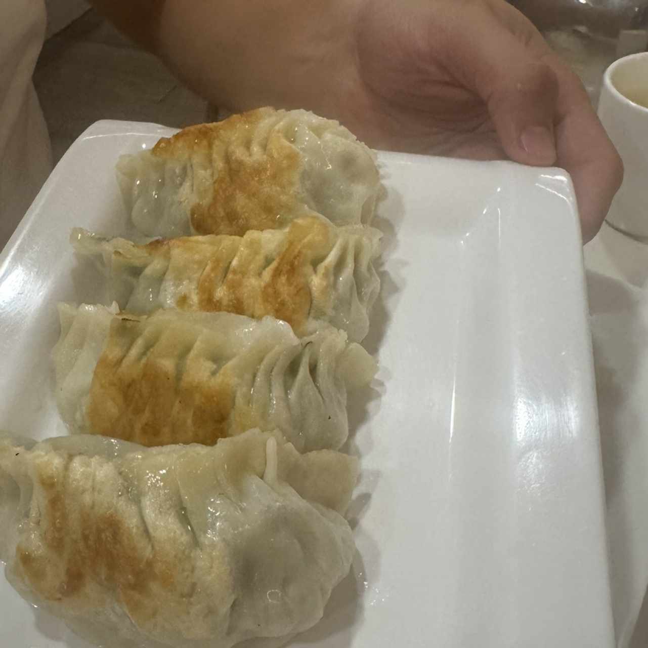 DIM SUM - WO TIP DUMPLING