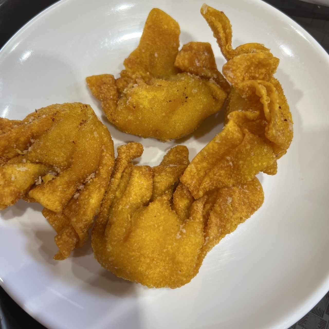 Wanton Frito de Puerco