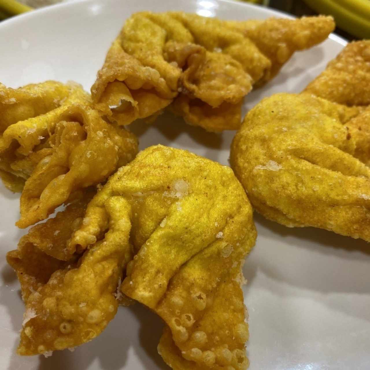 Wanton Frito de Puerco