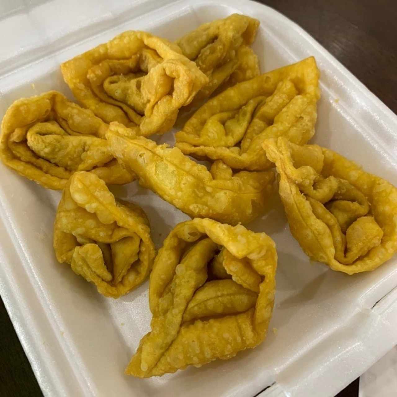 Wanton Frito de Puerco