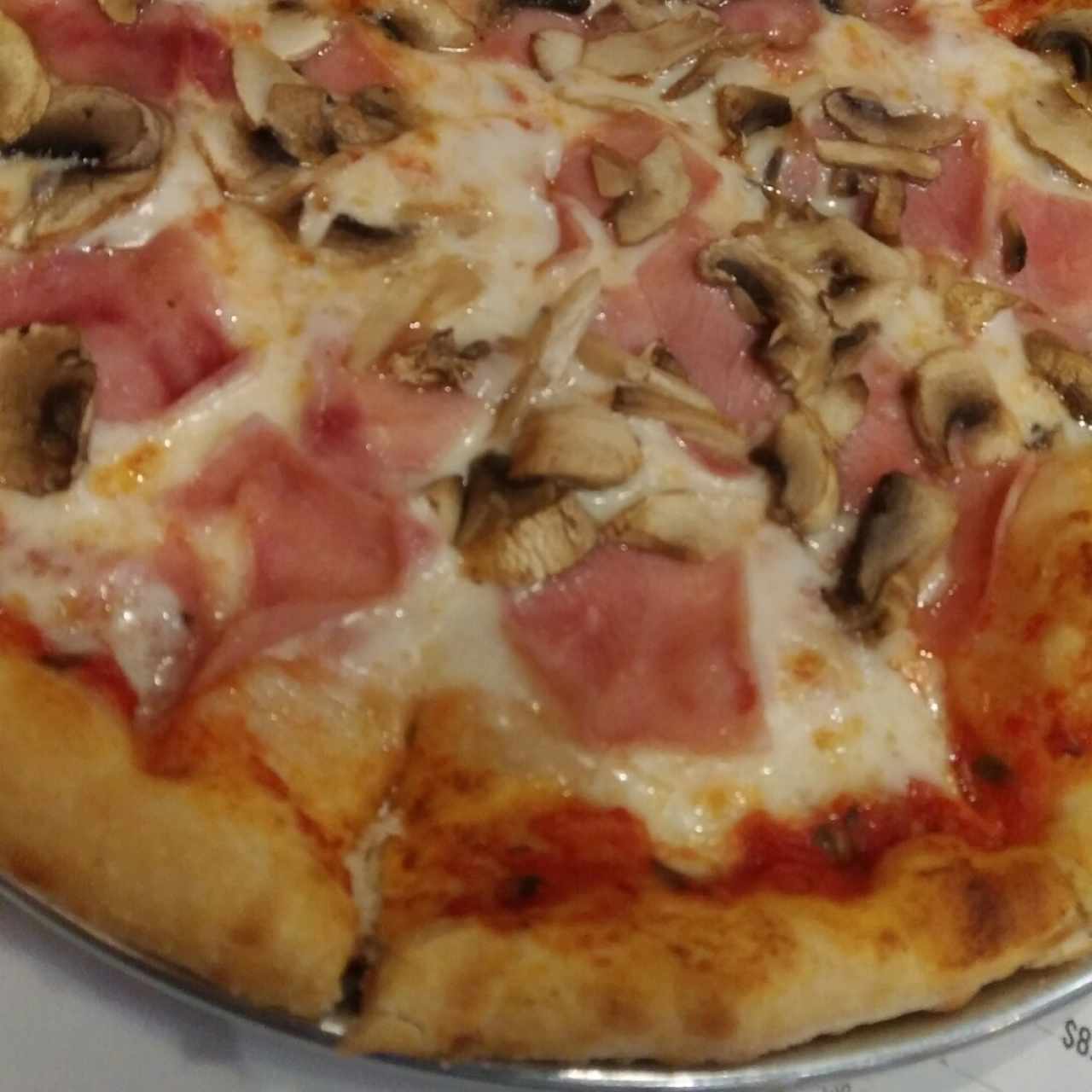 Pizza Funghi