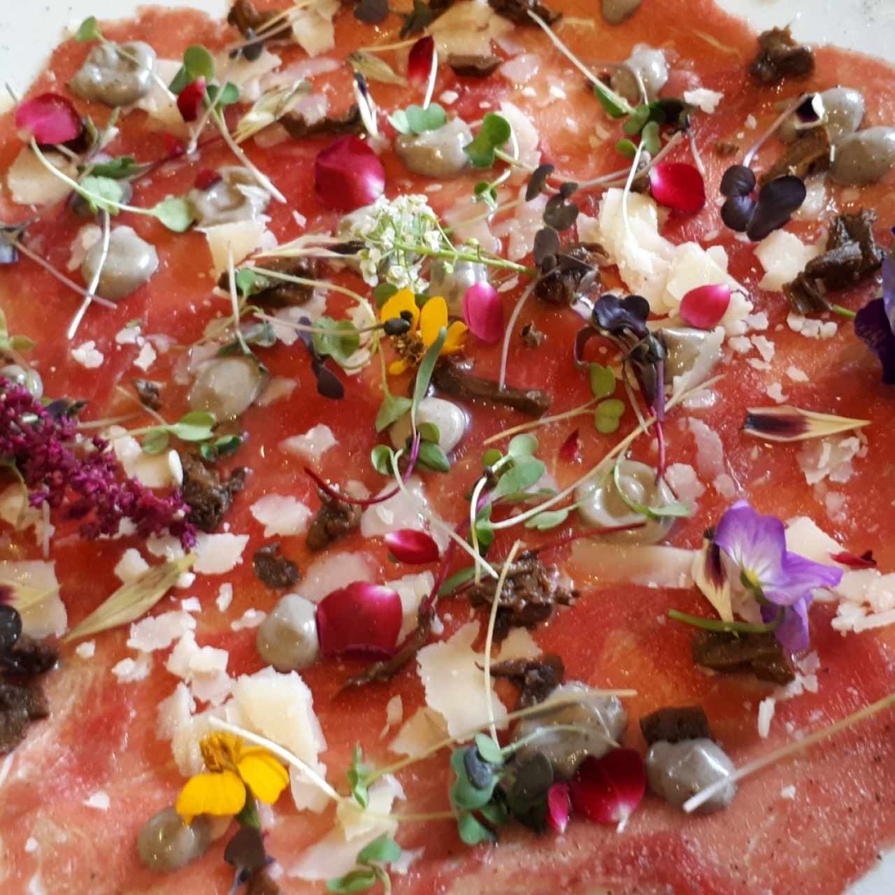 Carpaccio 