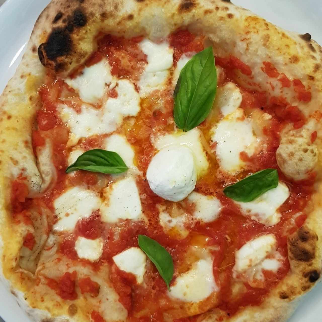 pizza napolitana 