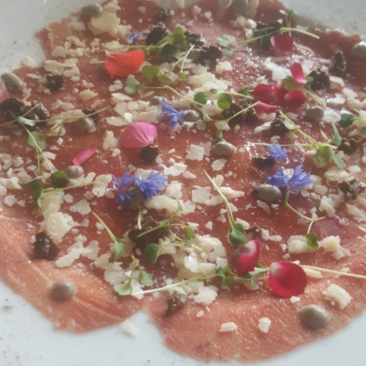 carpaccio