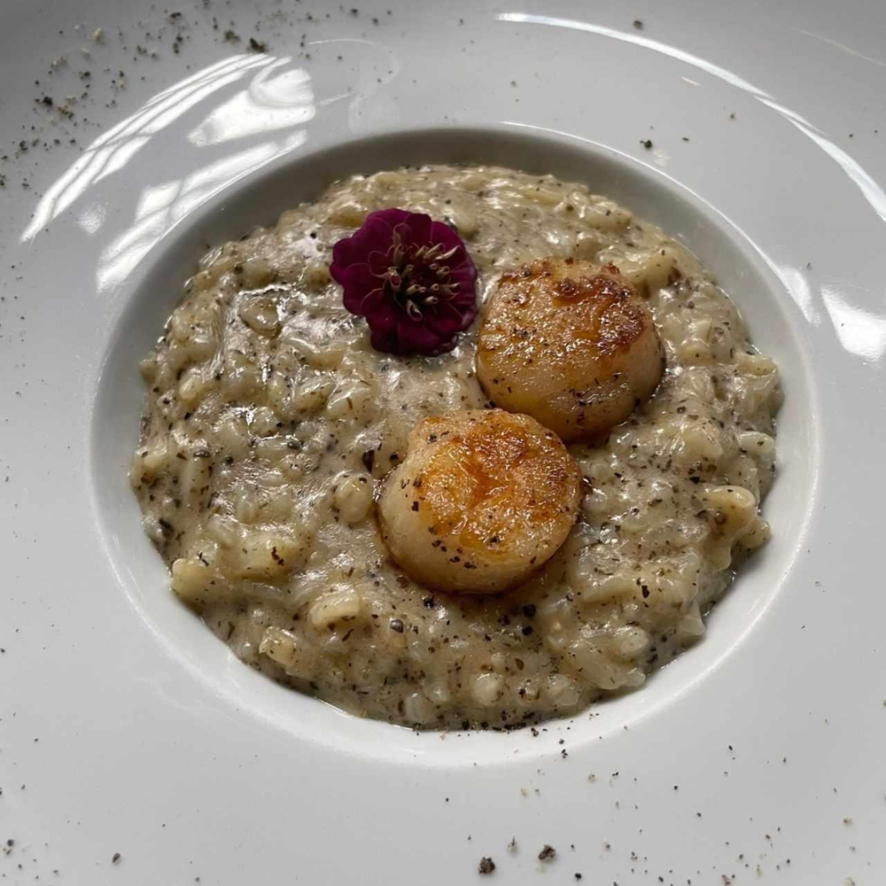 Risotto capesante al tartufo