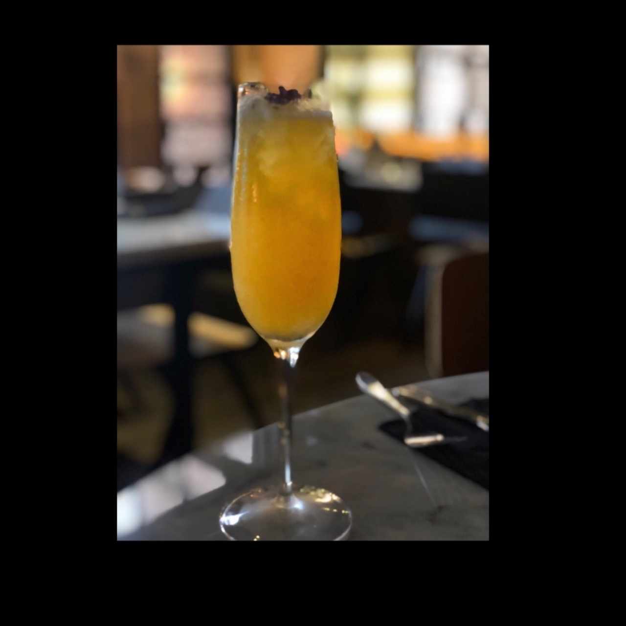 Mimosa