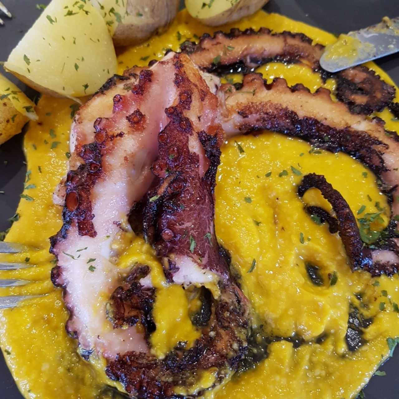 Pulpo con puré de zapallo