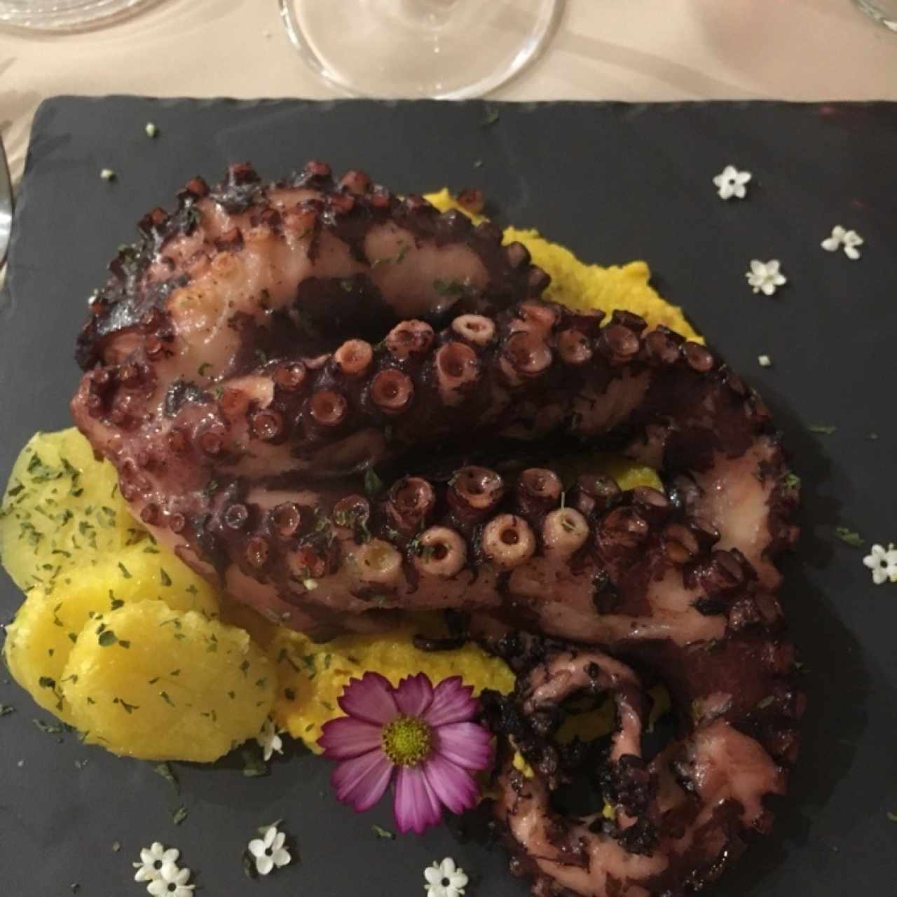 pulpo