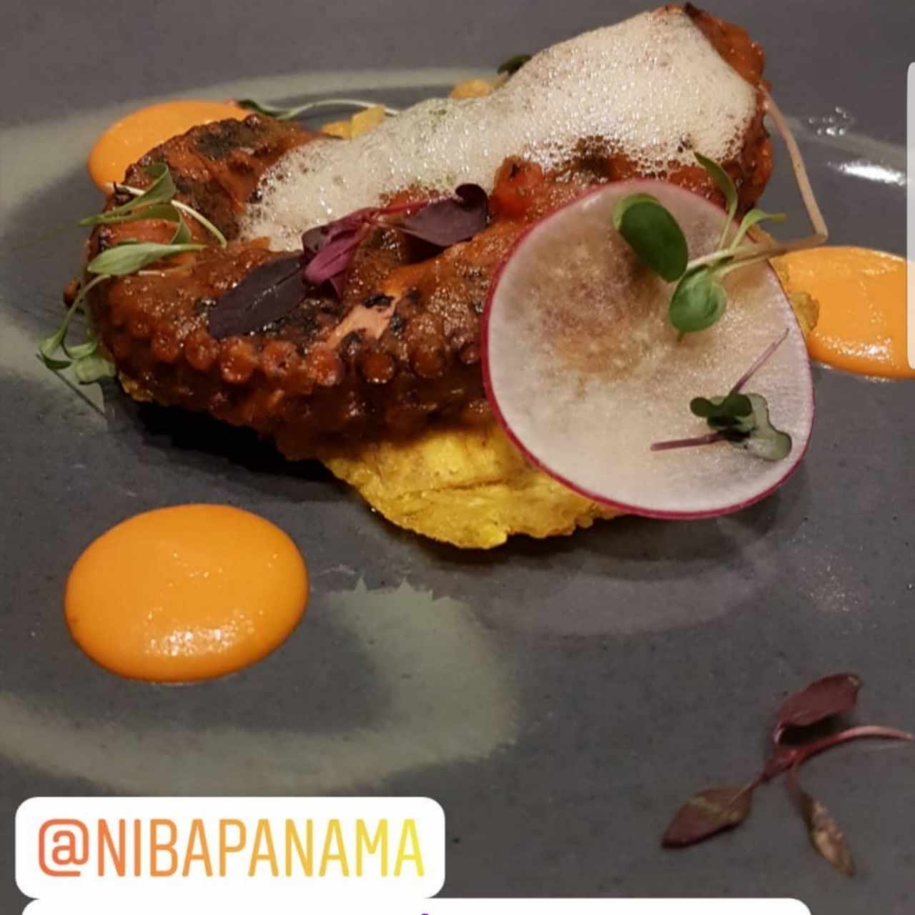 Pulpo asado sobre patacón