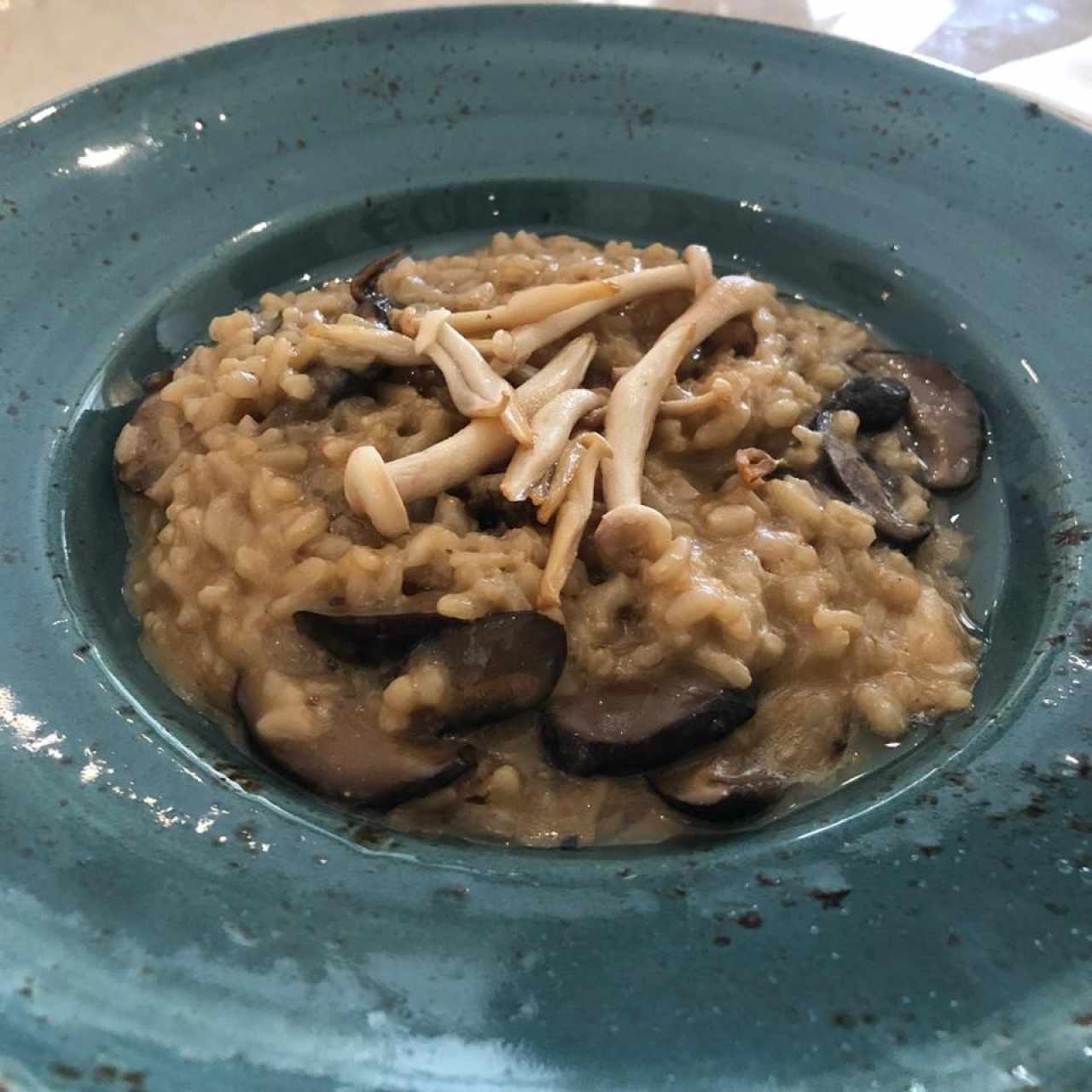 Risoto de Hongos