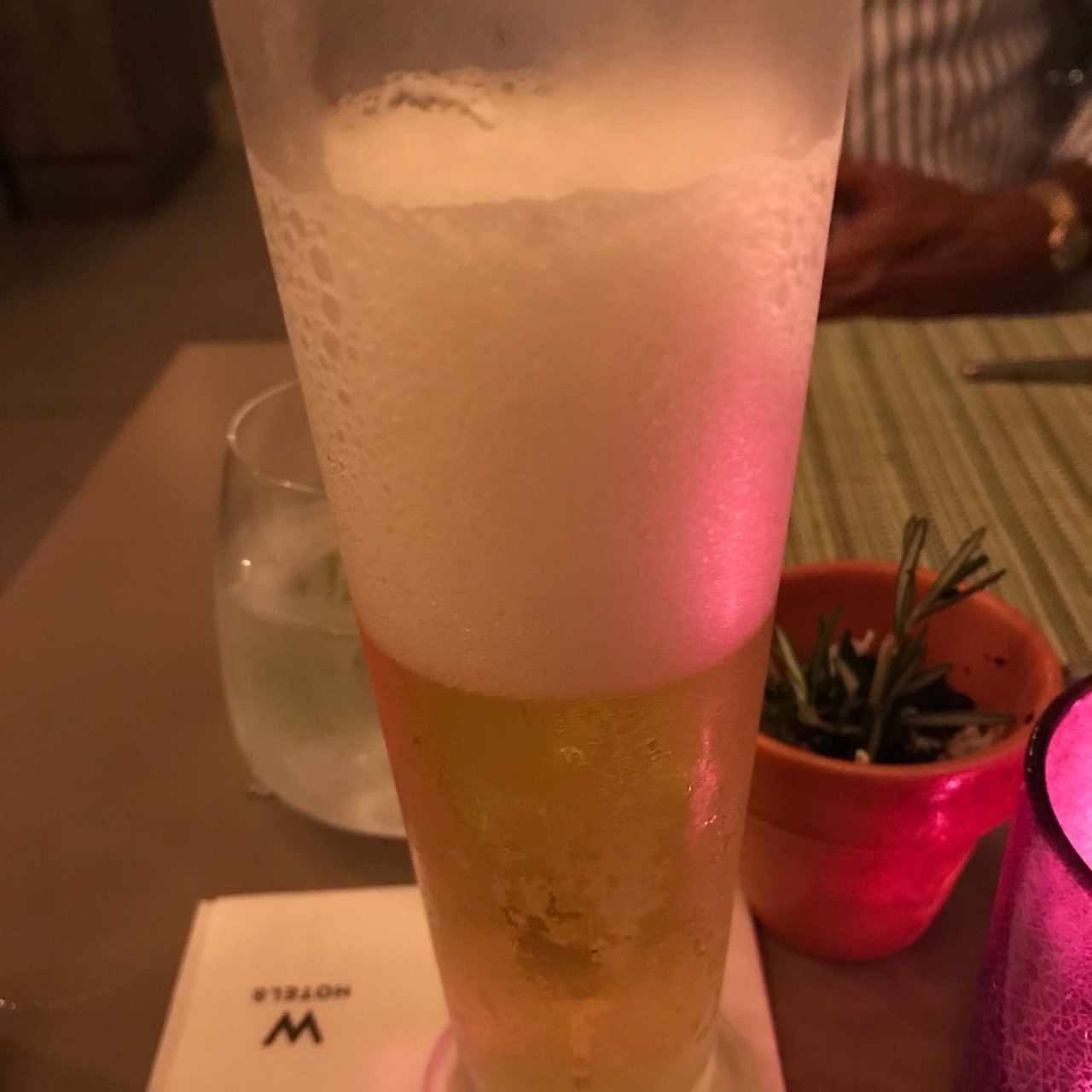 cerveza panama