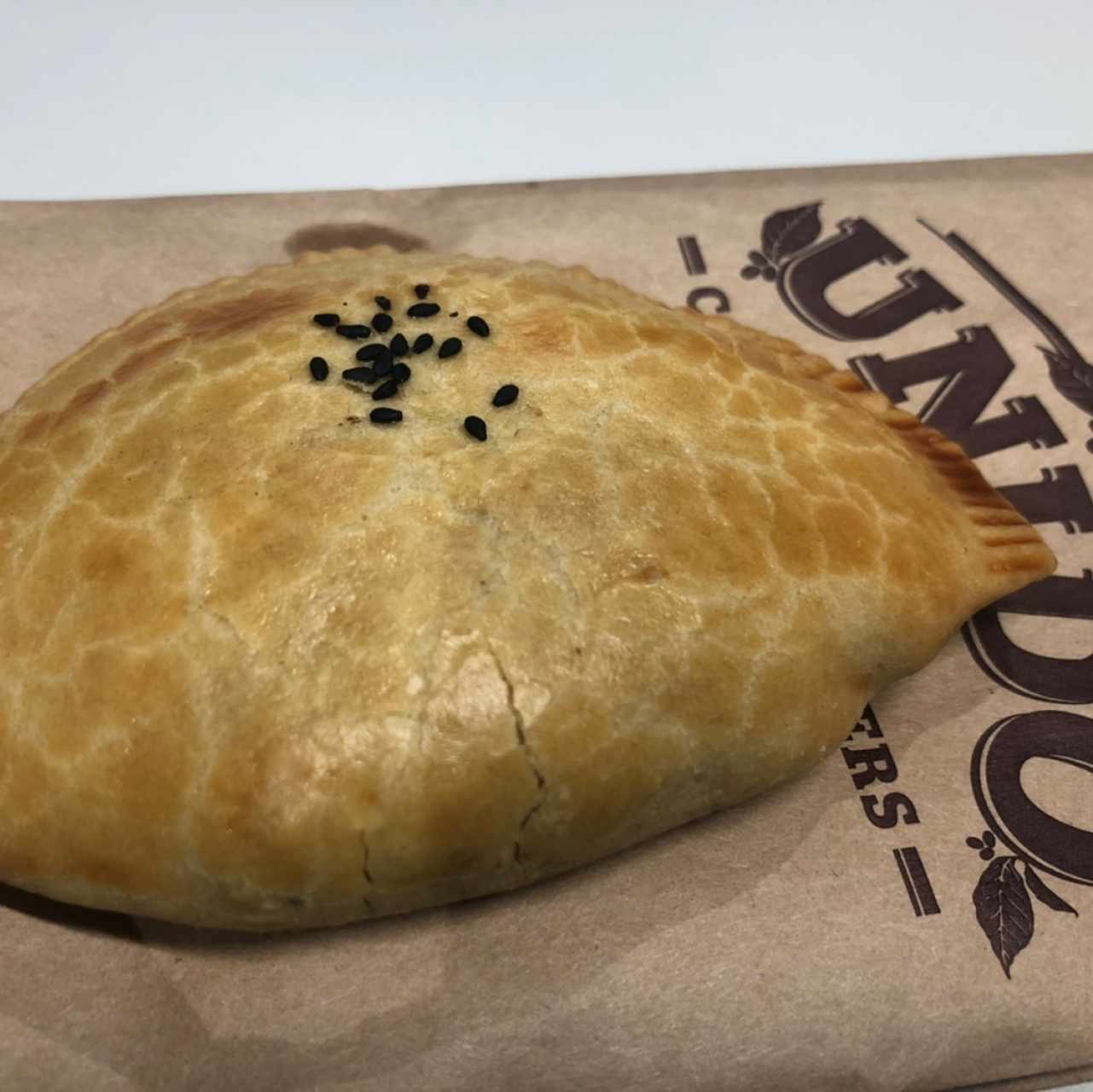 empanada de pollo