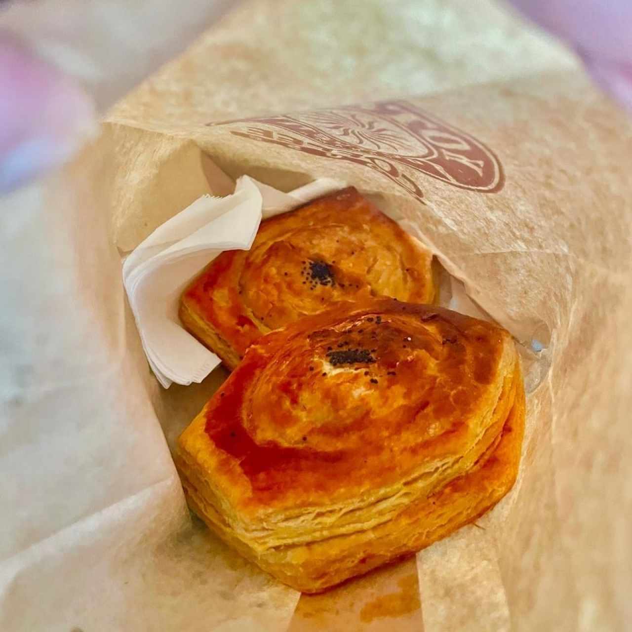 Pastelitos de Carne