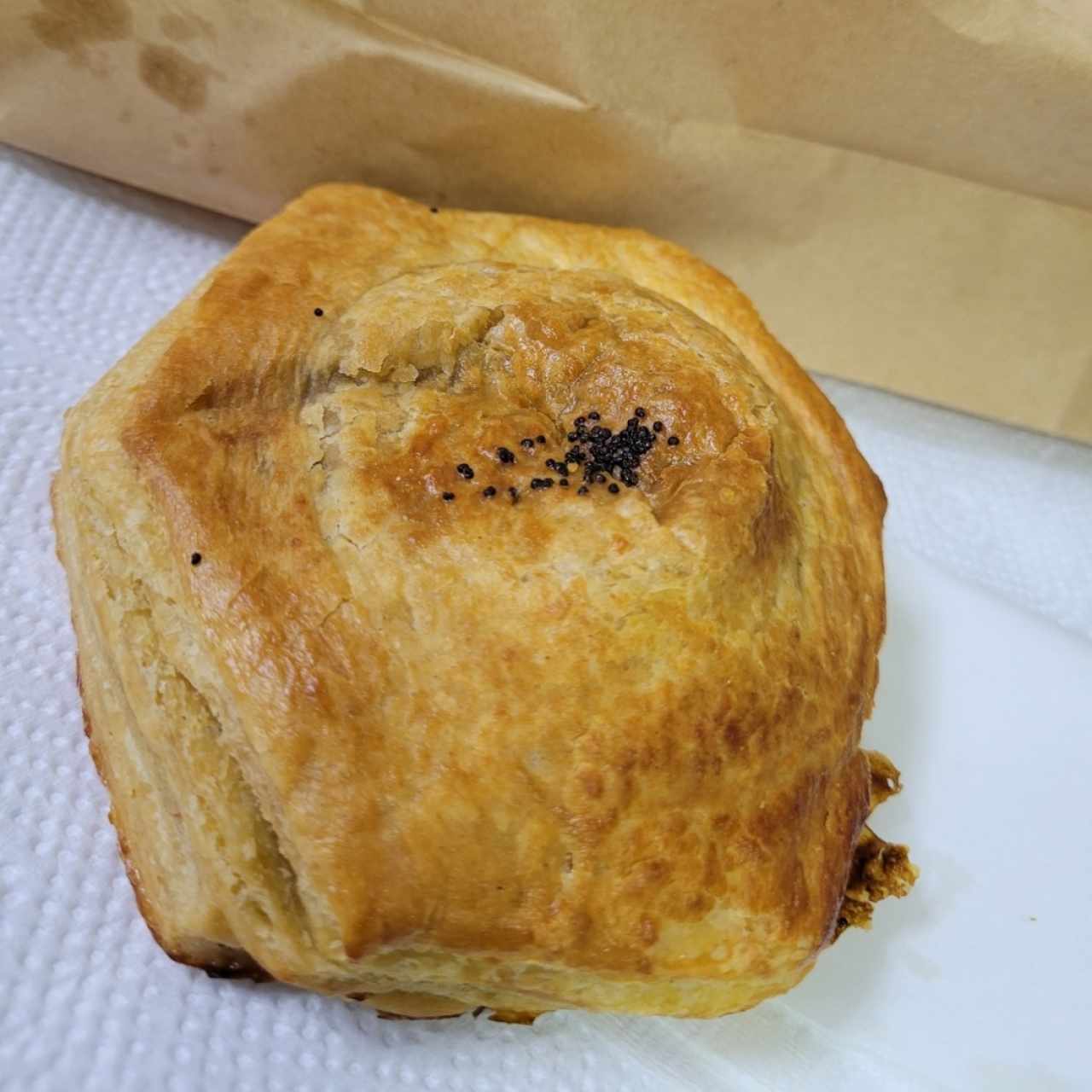 pastelito de carne