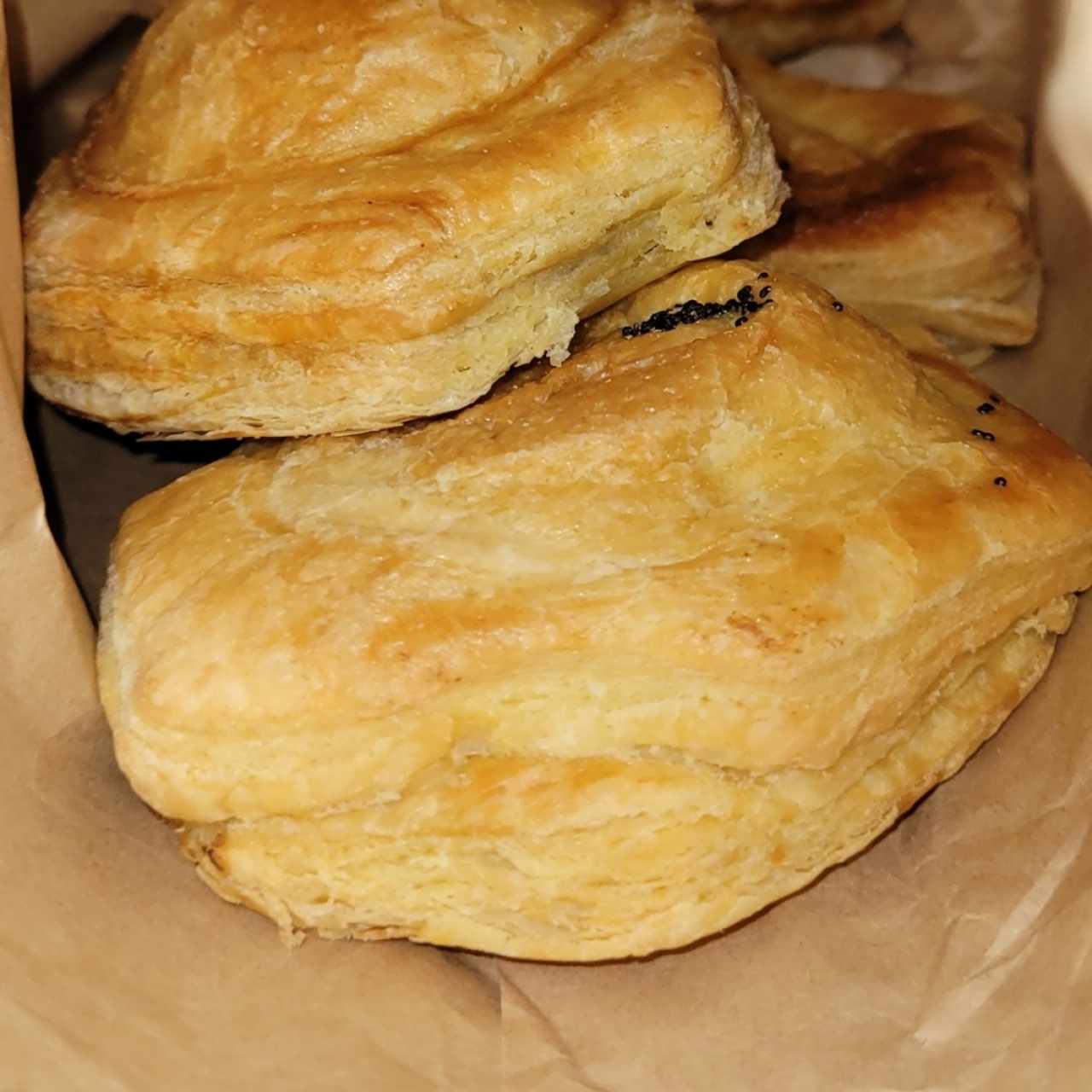 pastelitos de pollo