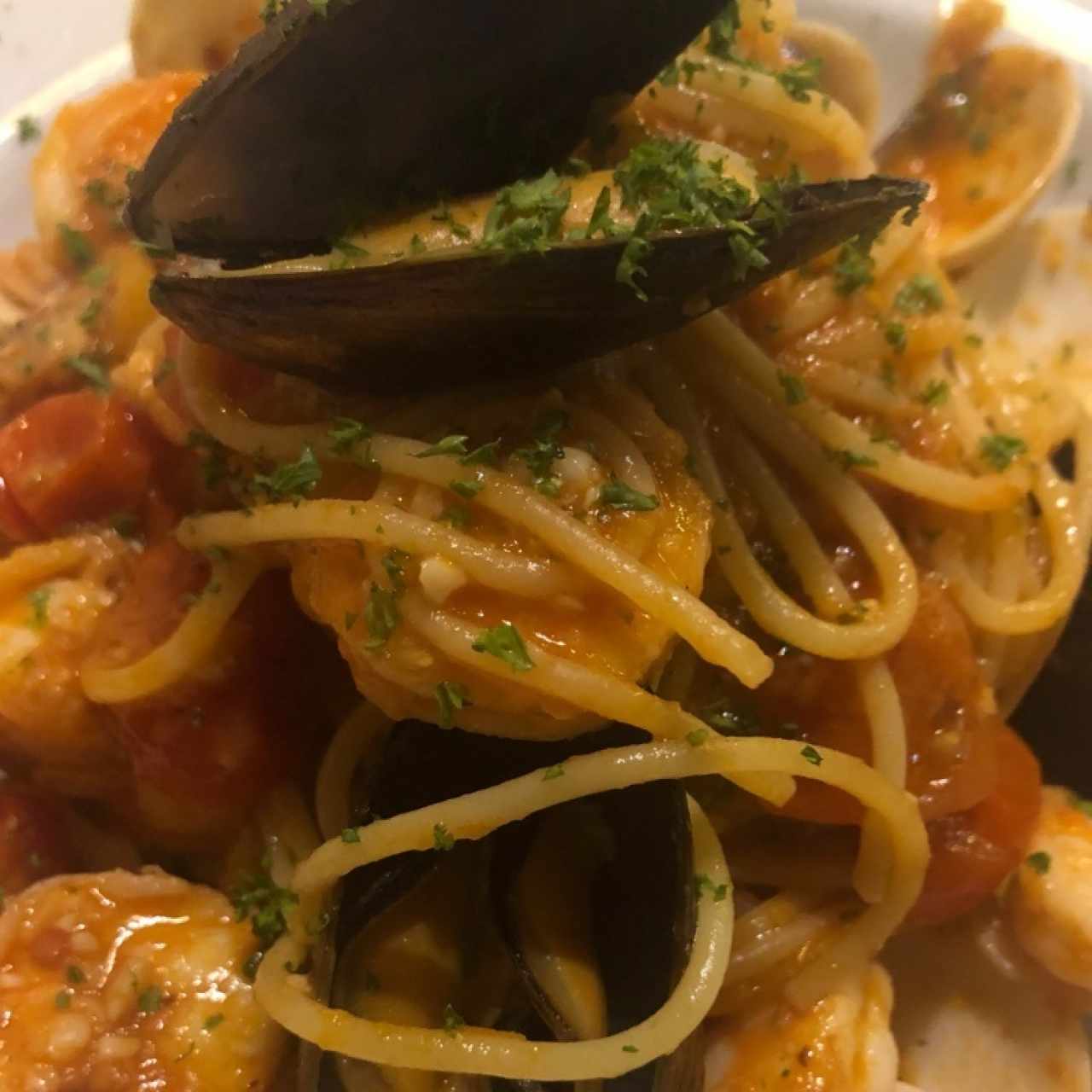 Spaghetti Pescatore