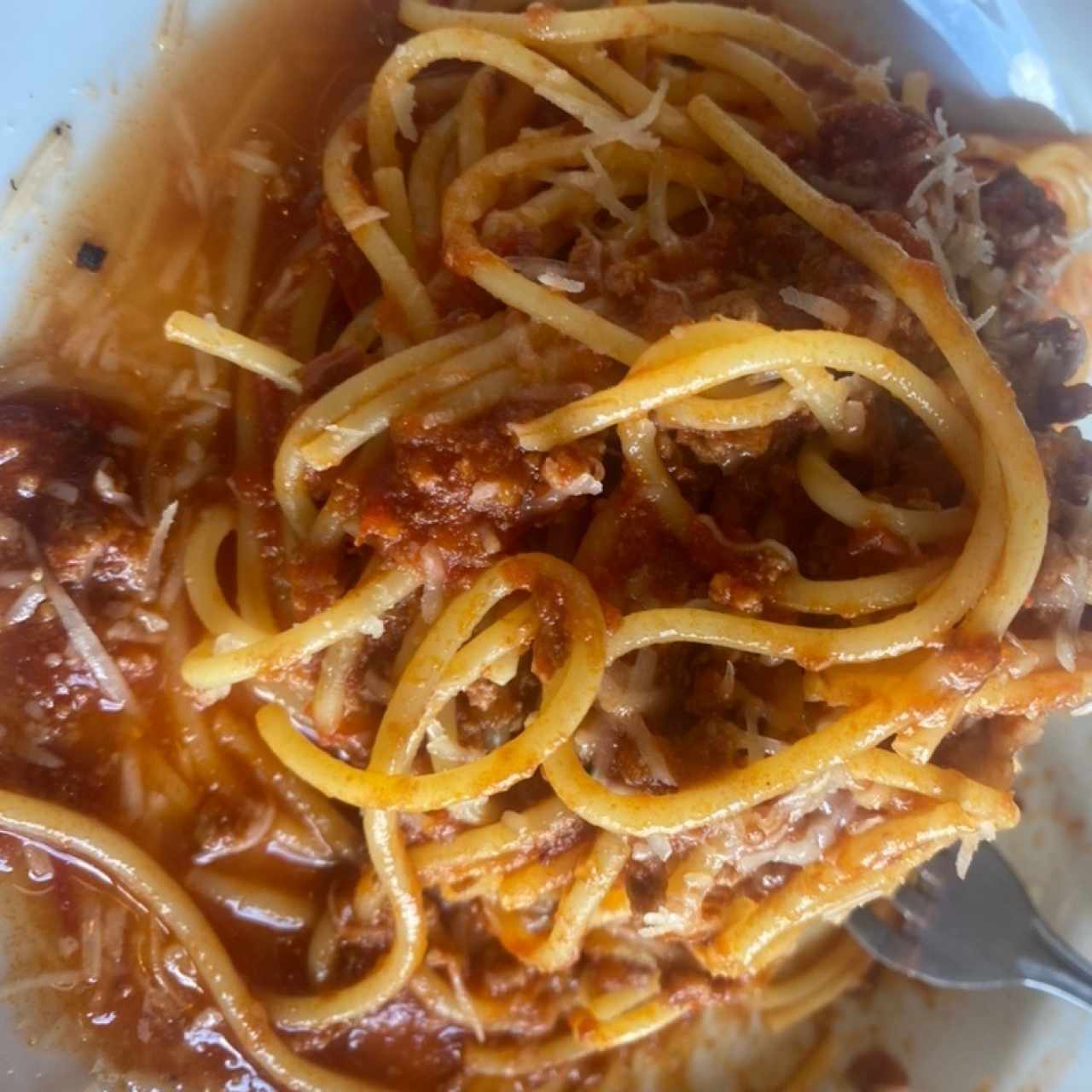 Pasta - Spaghetti Alla Bolognese