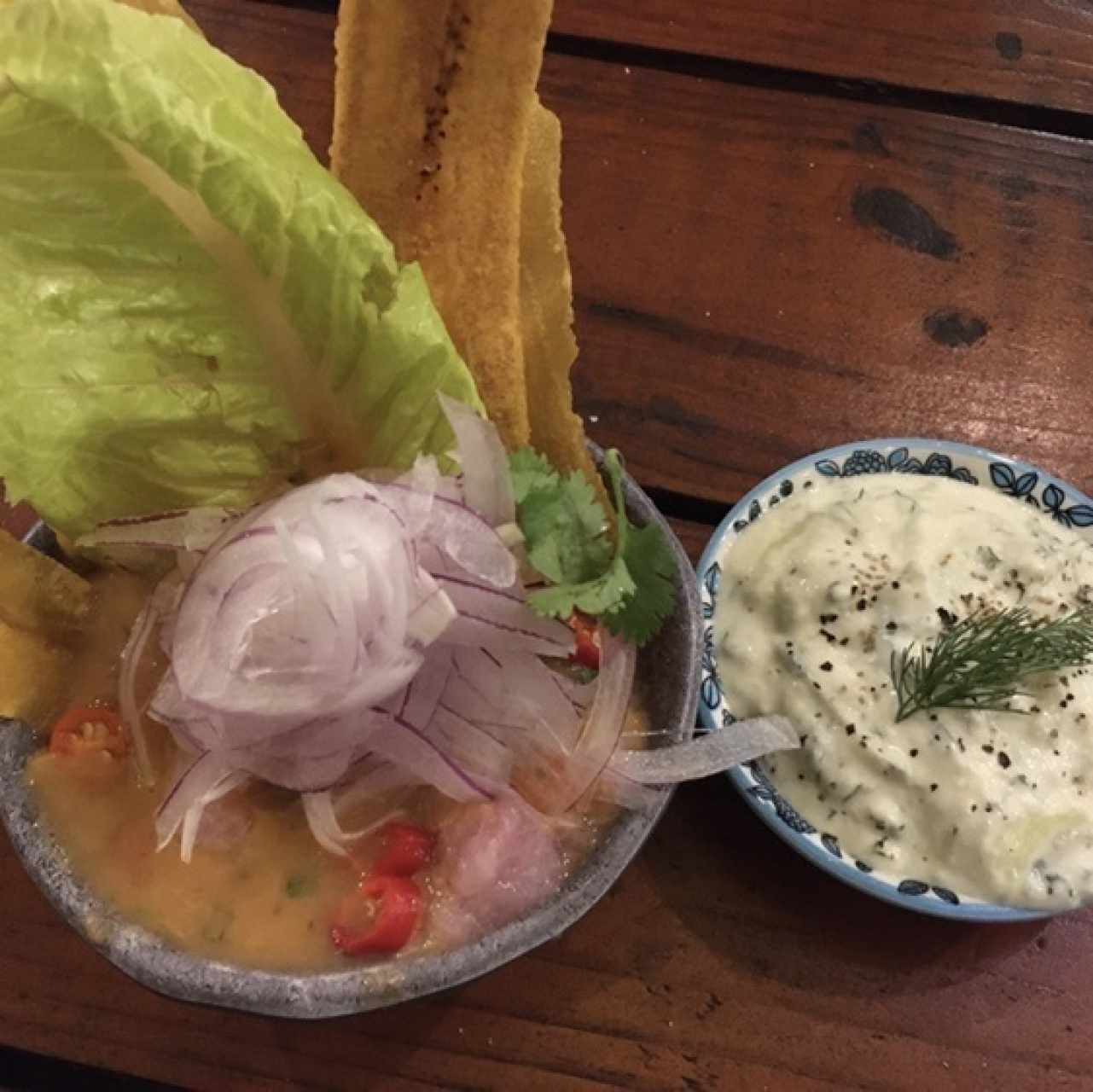 Ceviche y Tzatsiki