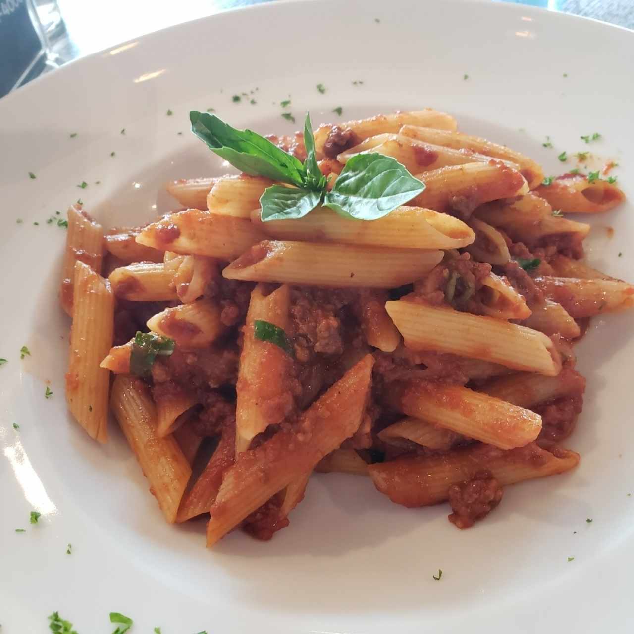 Bolognese