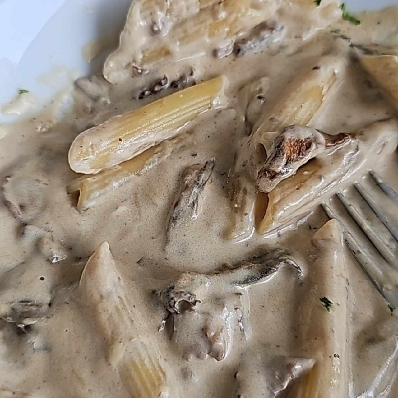 penne en salsa fungi porccini