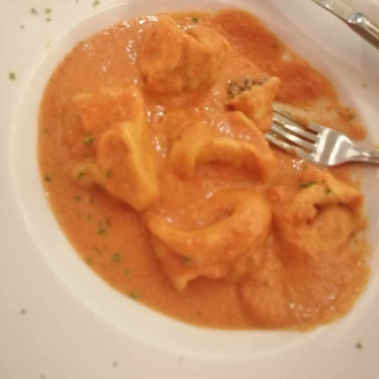 Ravioli a la aurora rellenos de carne