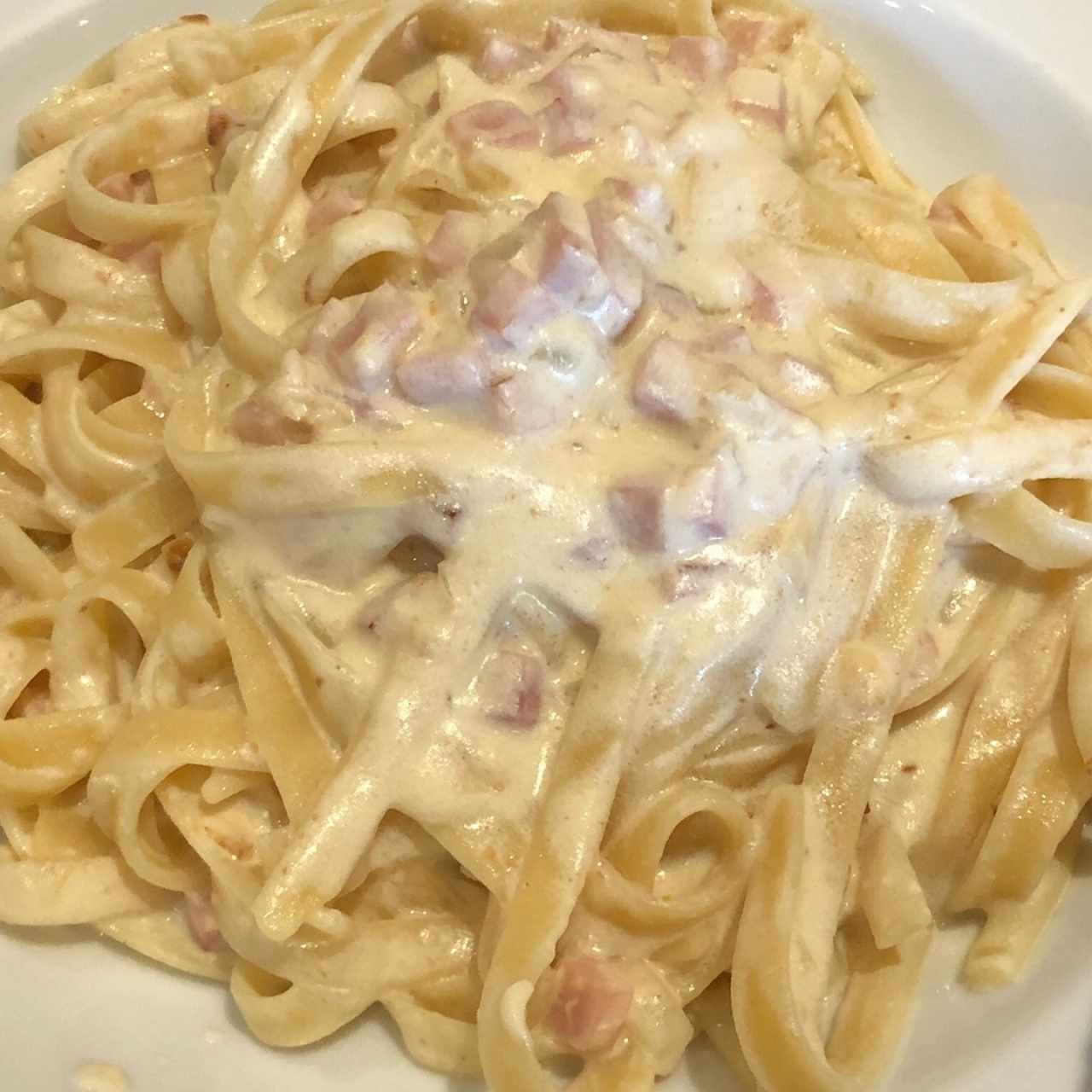 Pastas - Alfredo