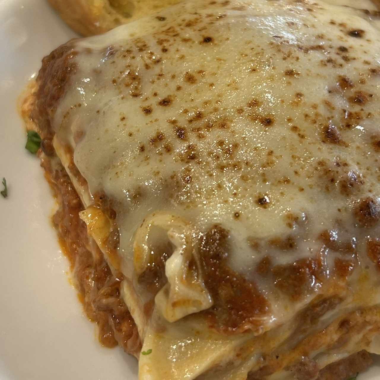 Lasagna - Bolognese