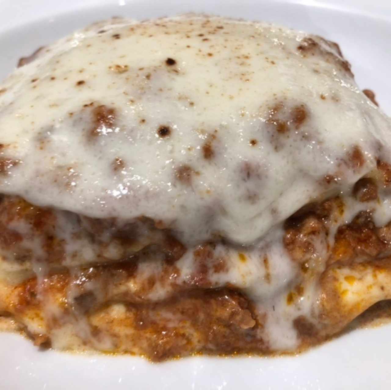 Lasagna - Bolognese