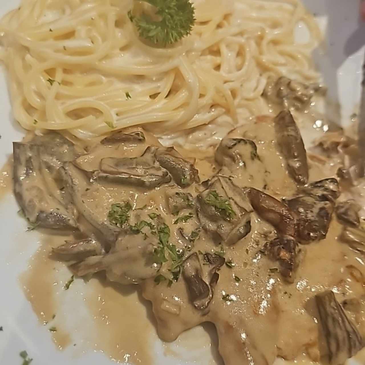 Filete Di Funghi Porcini