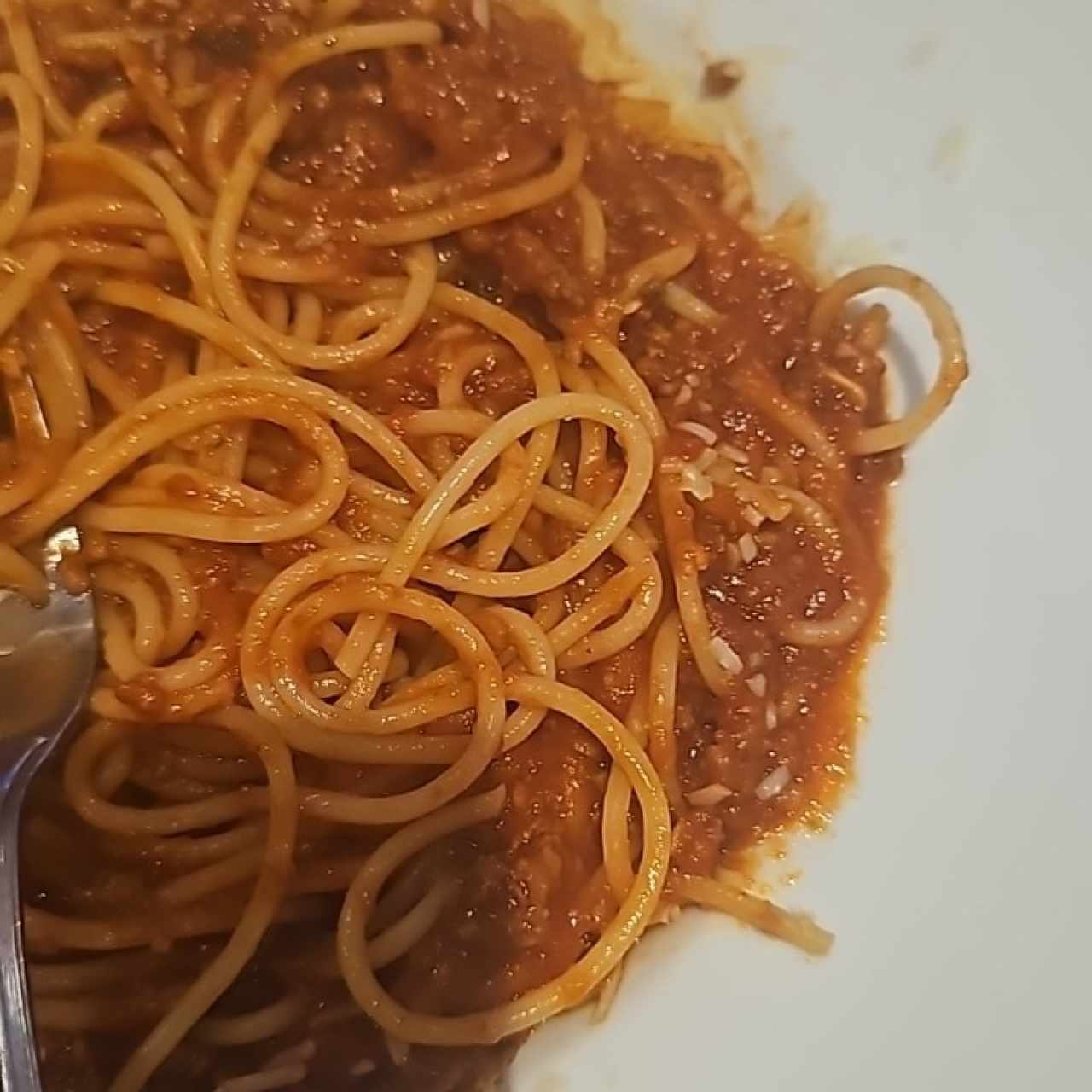 Pastas - Bolognese