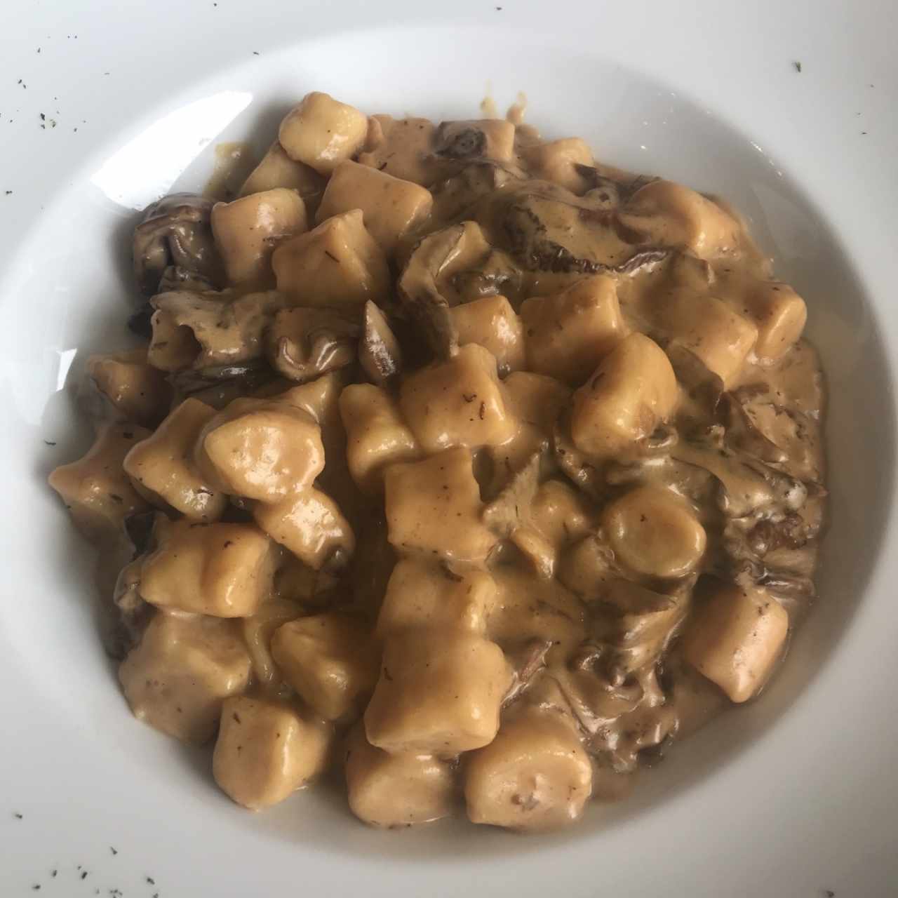 Gnocchi en Crema de Funghi Porcini