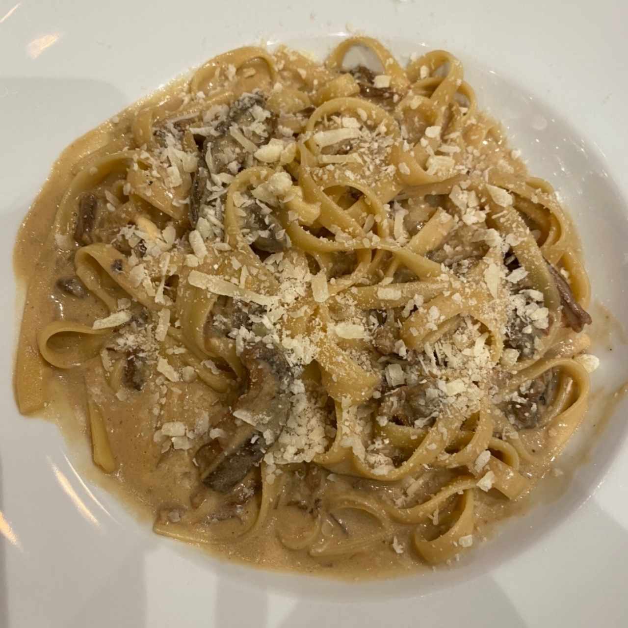 Crema Di Funghi Porcini