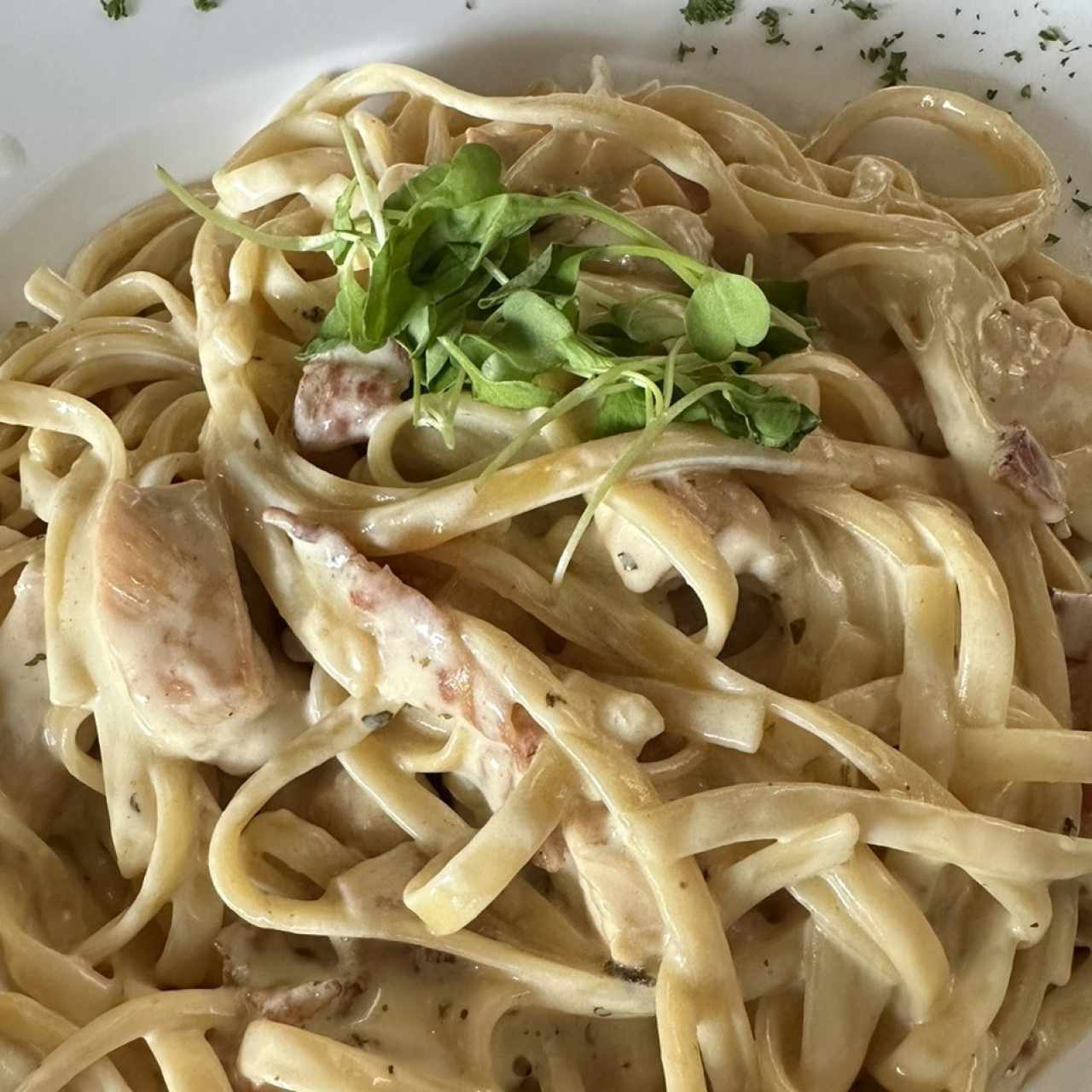 Pastas - Pasta Alfredo