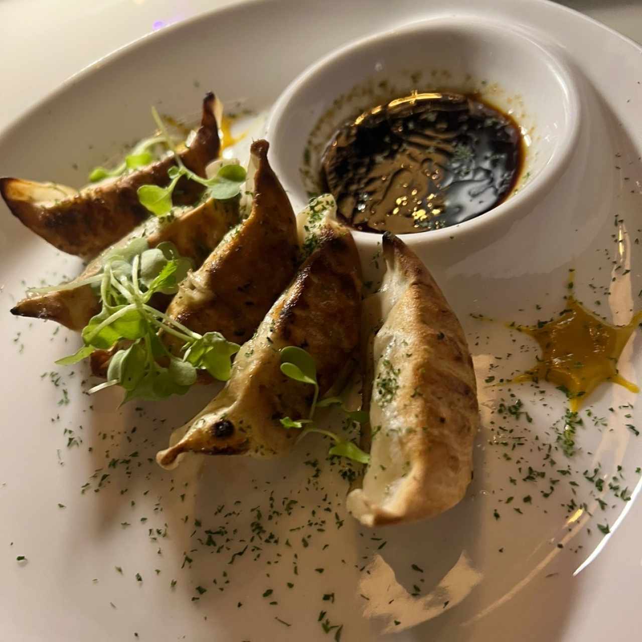 Gyozas de cerdo y vegetales