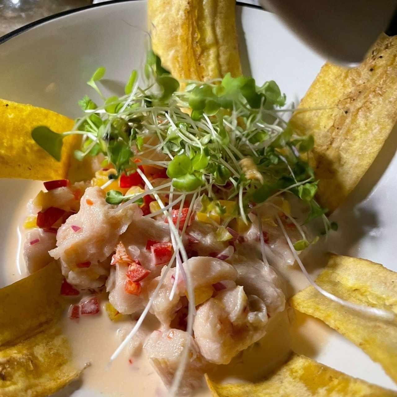 Ceviche a la Tigresa