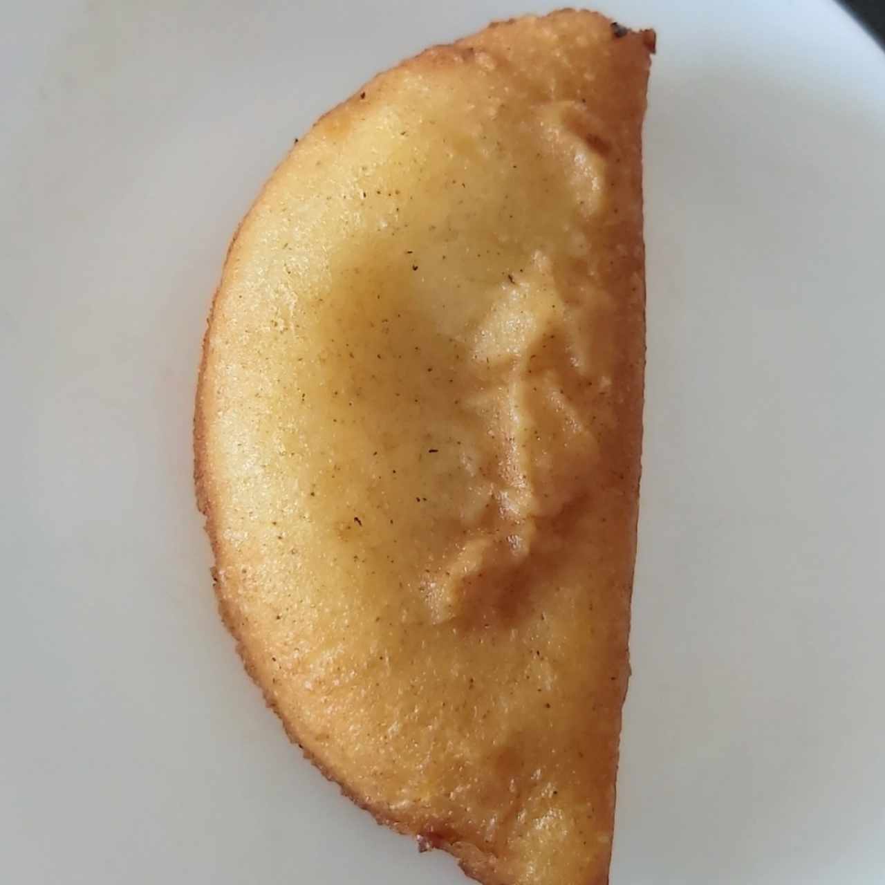 empanada frita