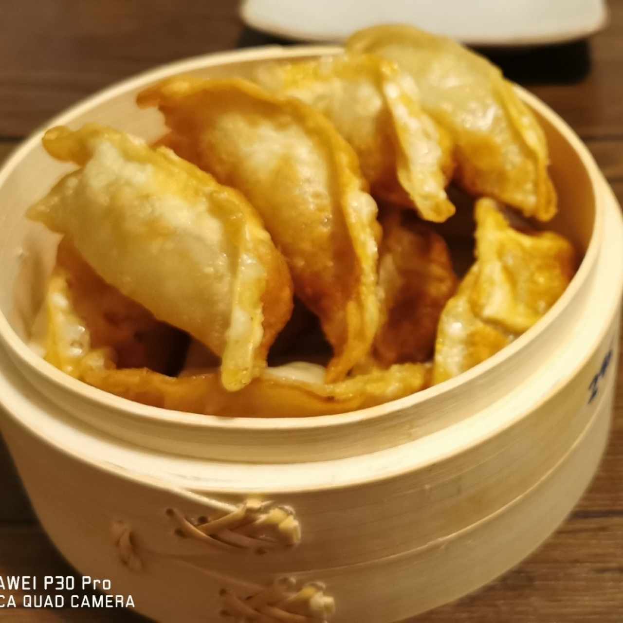 fried dumplings