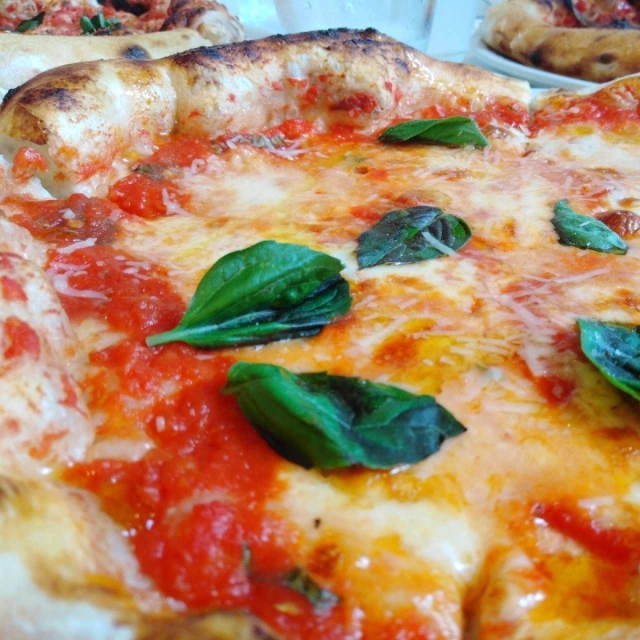 Pizza Margherita