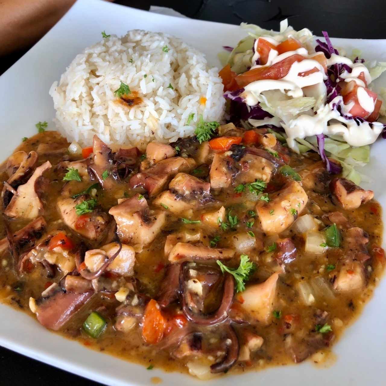 pulpo criollo con arroz