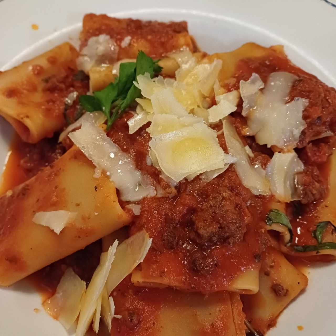 Pastas - Paccheri Alla Bolognesa