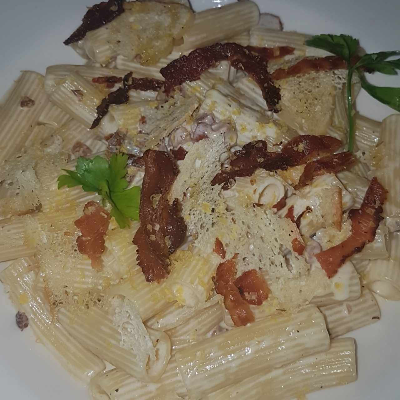 riggatoni a la carbonara