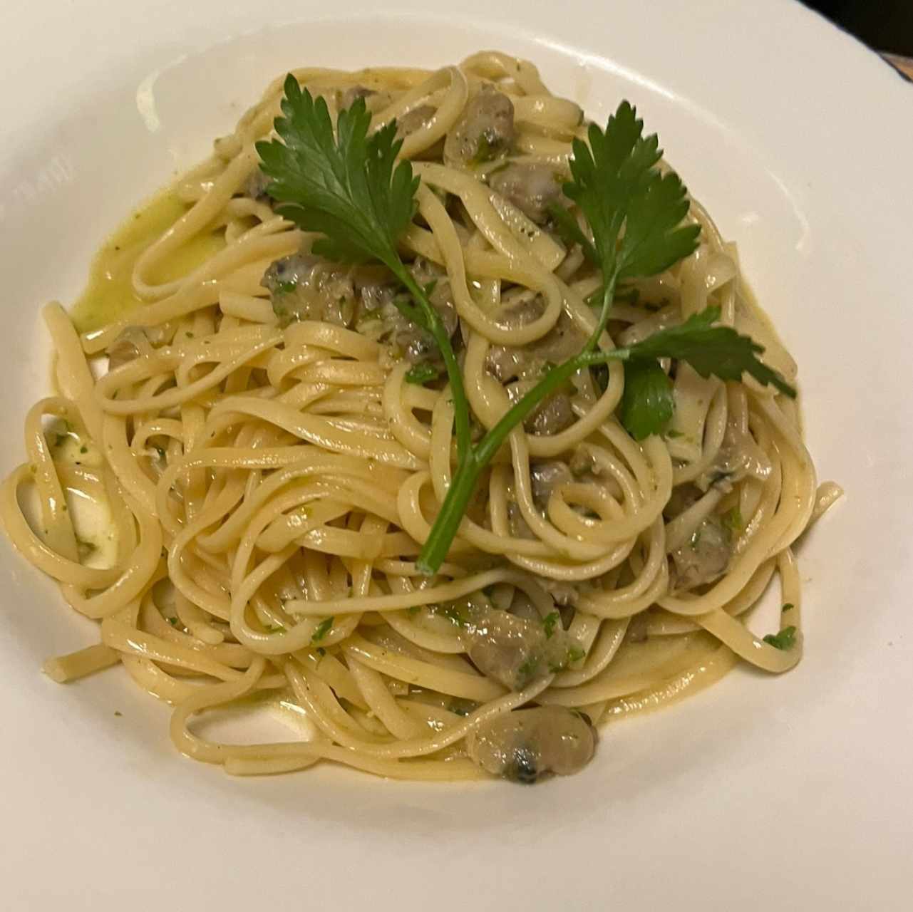 Pastas - Linguini Vongole