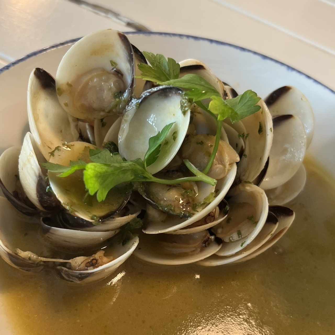 Vongole