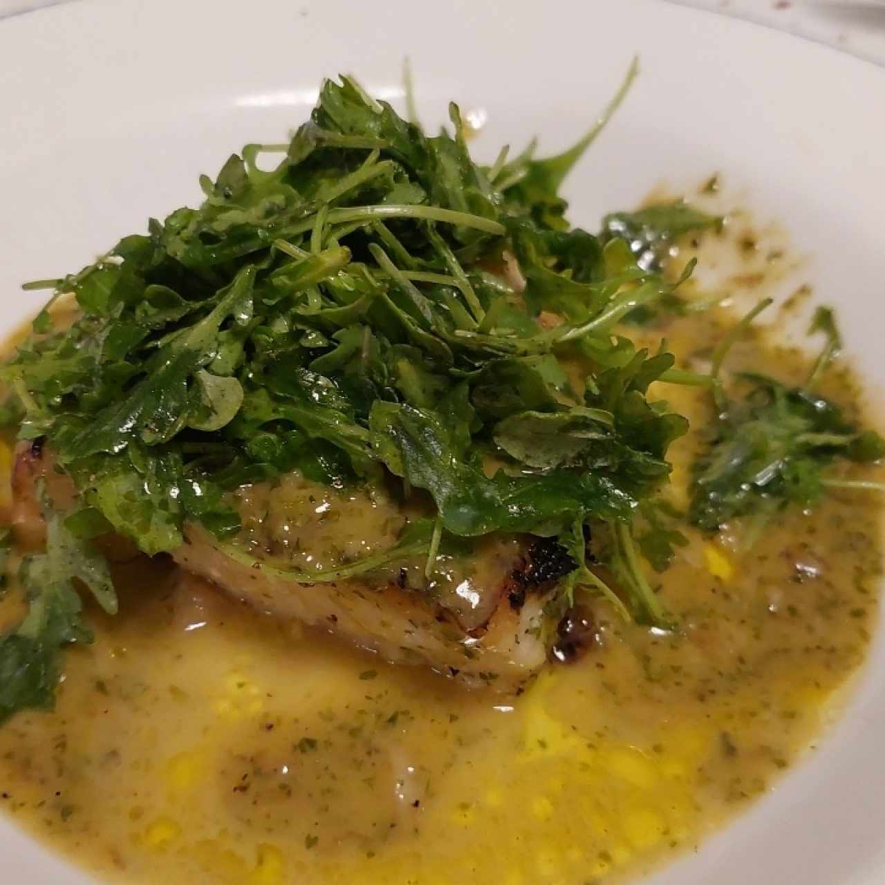 Corvina a La Livornesa