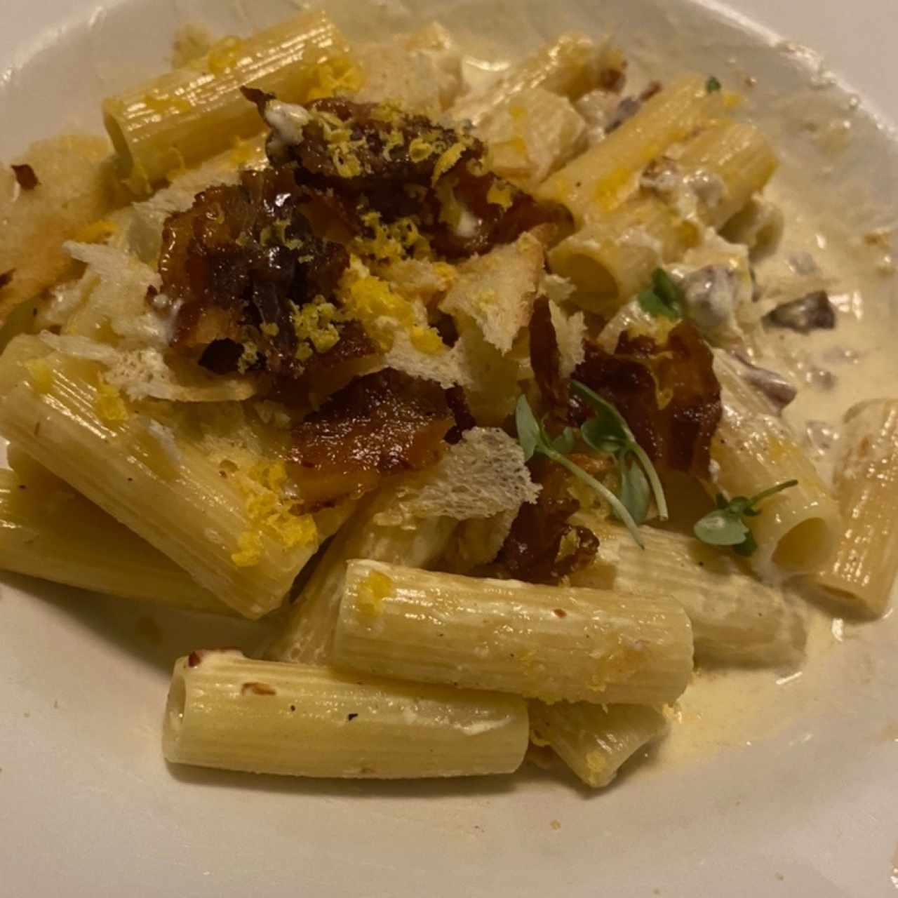 Rigatoni Ni Carbonara Ni Alfredo