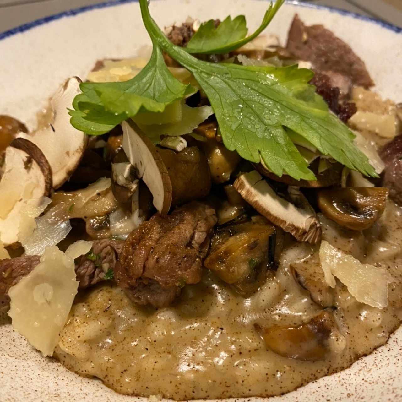 Risottos - Risotto Funghi