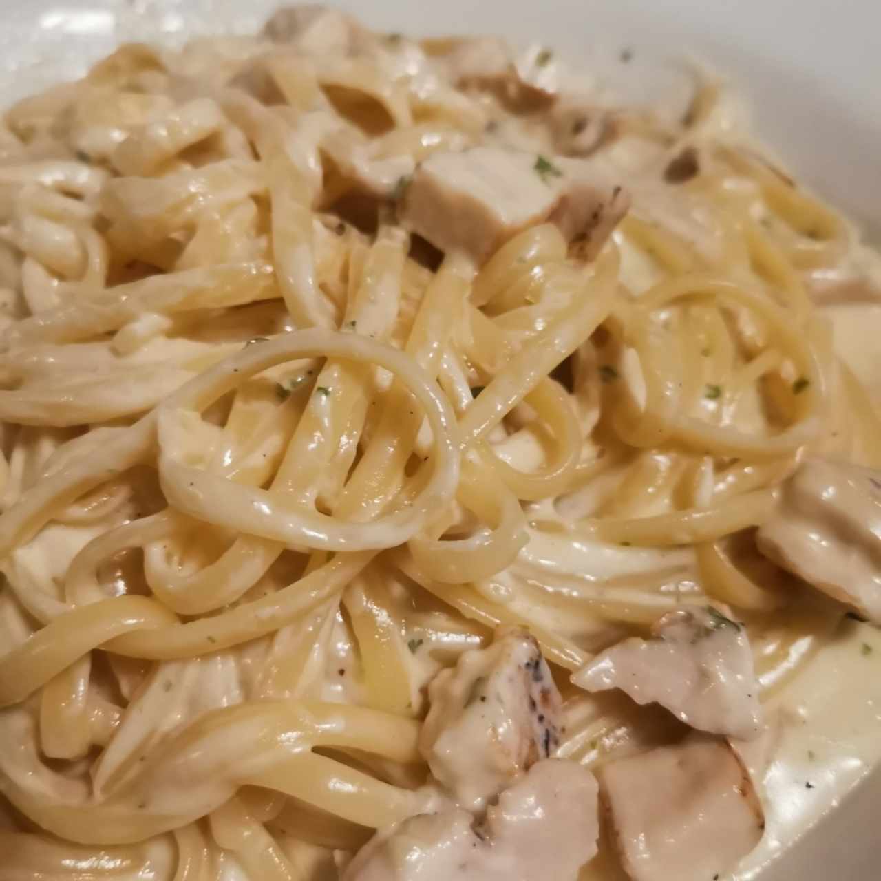 Spaghetti Alfredo con extra de pollo