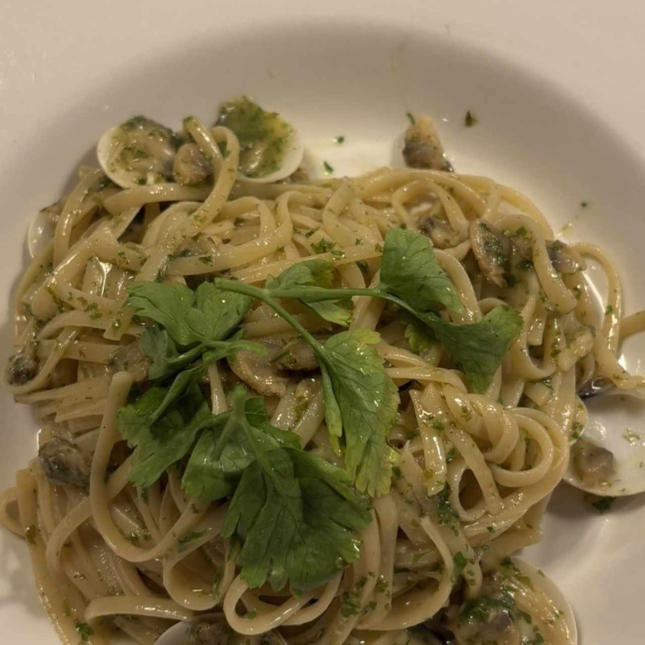 Pastas - Linguini Vongole