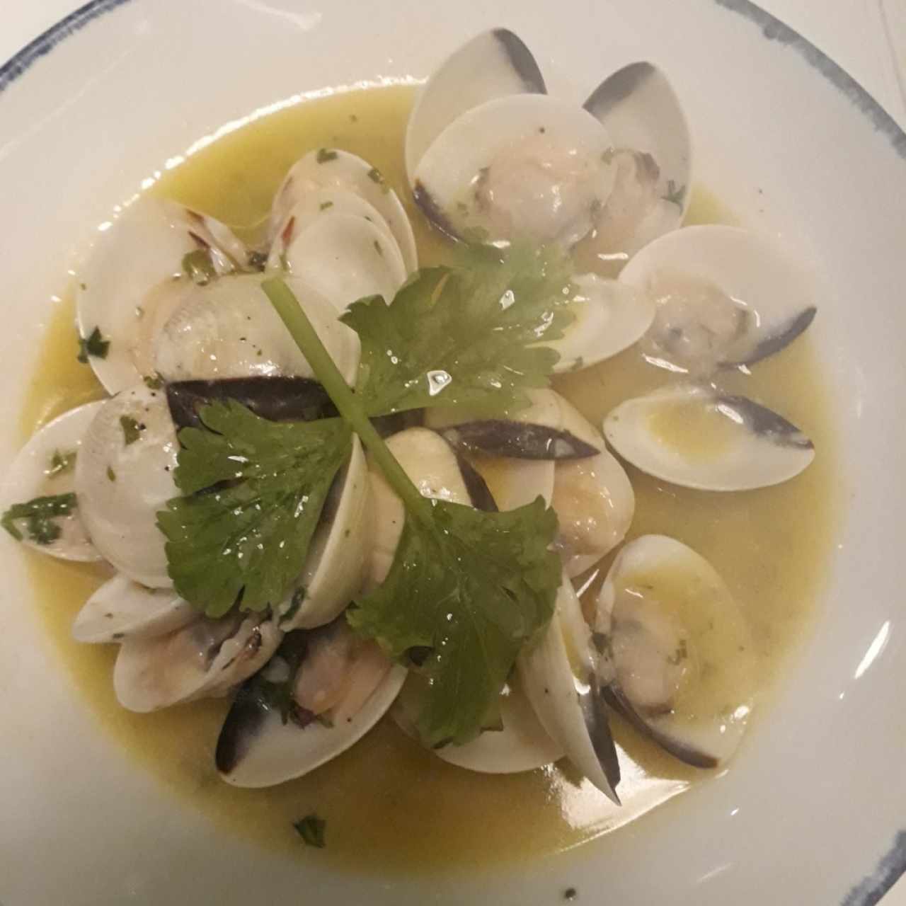 vongole