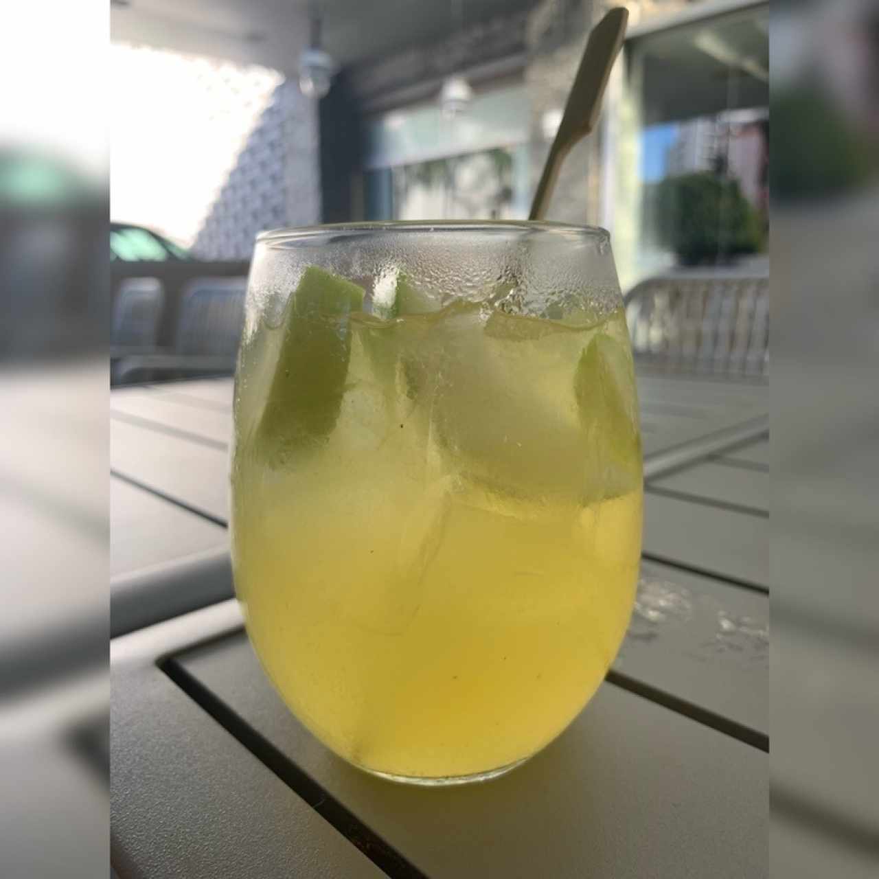 Sangria, un Italiano en Jalisco 